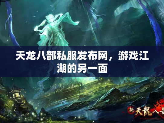 天龙八部私服发布网，游戏江湖的另一面
