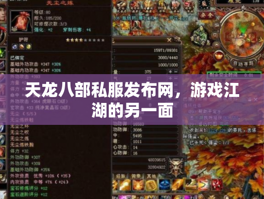 天龙八部私服发布网，游戏江湖的另一面