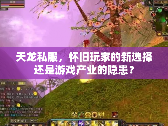 天龙私服，怀旧玩家的新选择还是游戏产业的隐患？