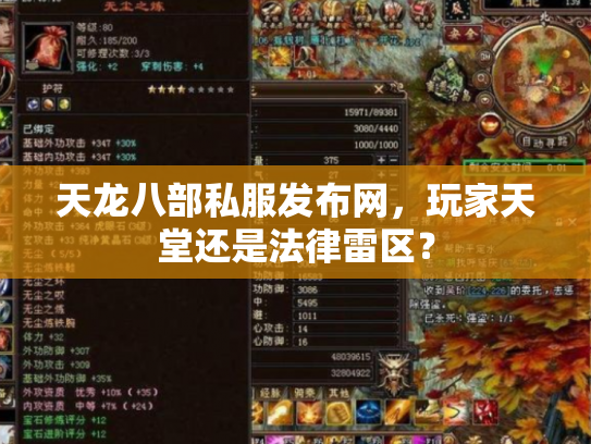 天龙八部私服发布网，玩家天堂还是法律雷区？