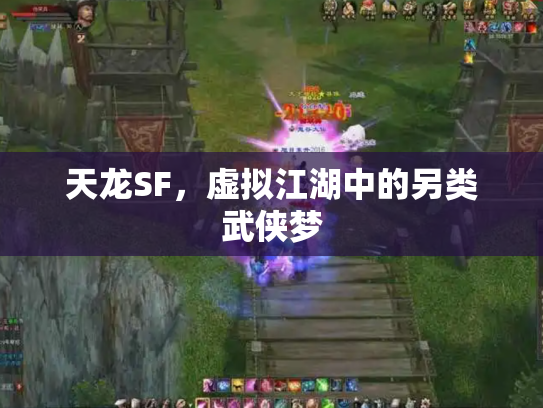 天龙SF，虚拟江湖中的另类武侠梦