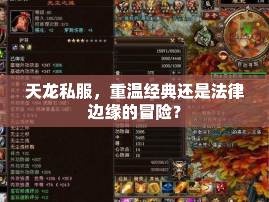 天龙私服，重温经典还是法律边缘的冒险？