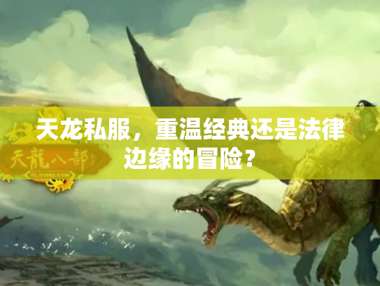 天龙私服，重温经典还是法律边缘的冒险？