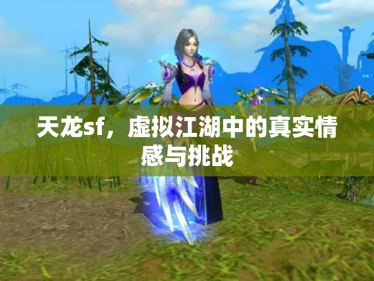 天龙sf，虚拟江湖中的真实情感与挑战