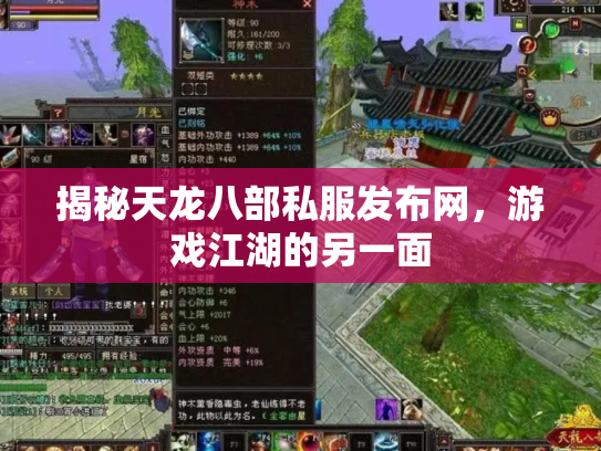 揭秘天龙八部私服发布网，游戏江湖的另一面