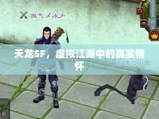 天龙SF，虚拟江湖中的真实情怀
