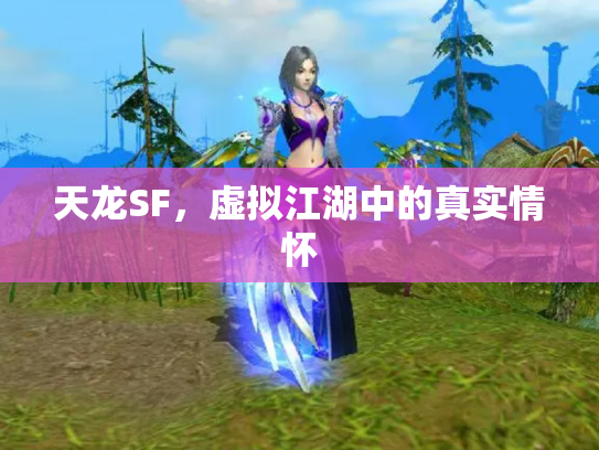 天龙SF，虚拟江湖中的真实情怀