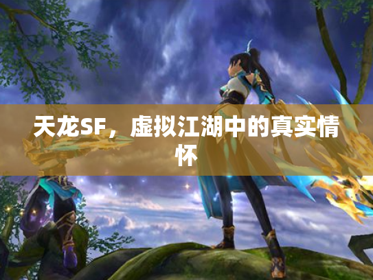 天龙SF，虚拟江湖中的真实情怀