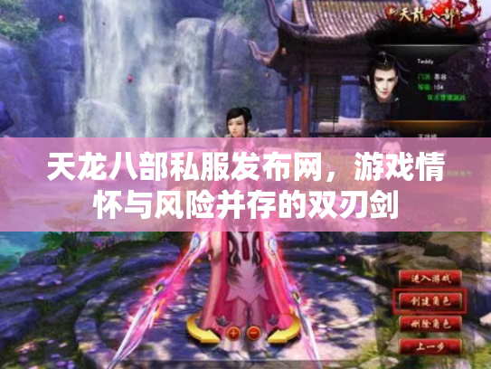 天龙八部私服发布网，游戏情怀与风险并存的双刃剑