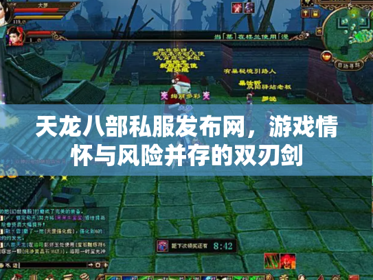 天龙八部私服发布网，游戏情怀与风险并存的双刃剑