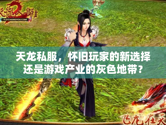 天龙私服，怀旧玩家的新选择还是游戏产业的灰色地带？