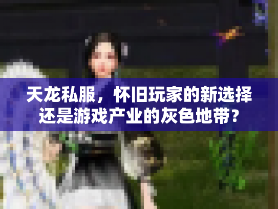 天龙私服，怀旧玩家的新选择还是游戏产业的灰色地带？