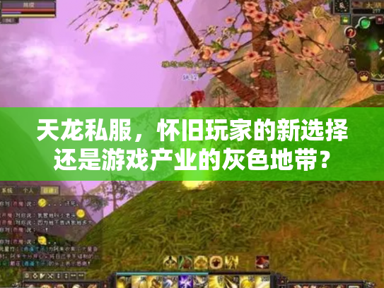 天龙私服，怀旧玩家的新选择还是游戏产业的灰色地带？
