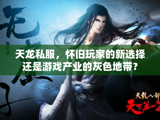天龙私服，怀旧玩家的新选择还是游戏产业的灰色地带？