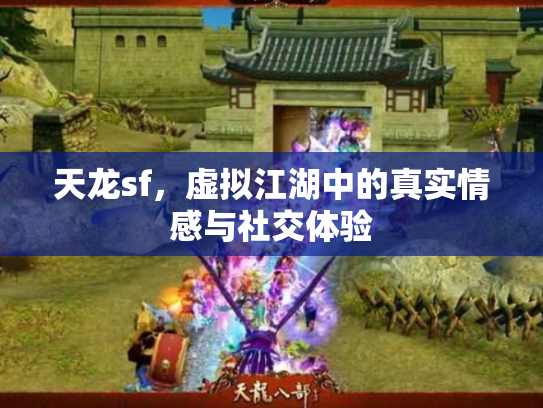 天龙sf，虚拟江湖中的真实情感与社交体验