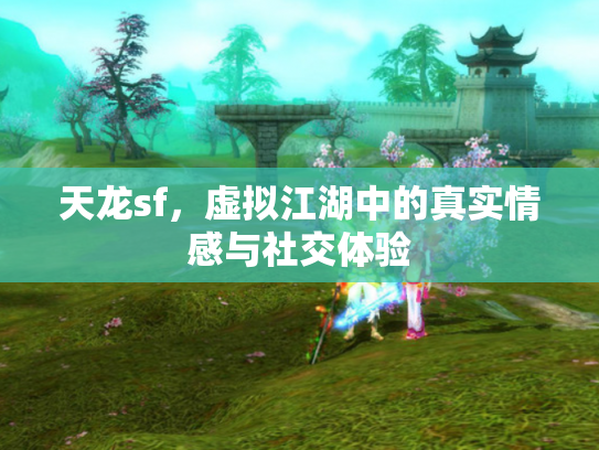 天龙sf，虚拟江湖中的真实情感与社交体验