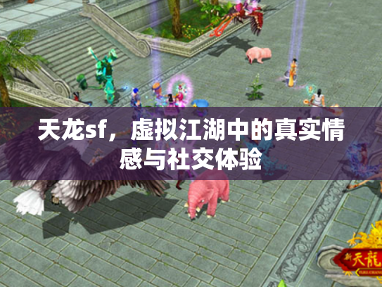 天龙sf，虚拟江湖中的真实情感与社交体验