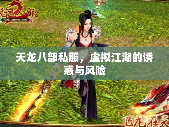 天龙八部私服，虚拟江湖的诱惑与风险