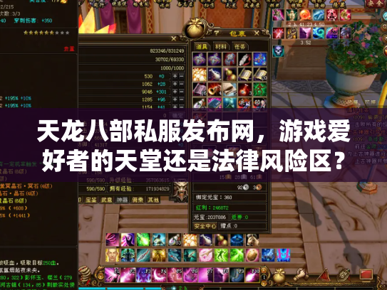 天龙八部私服发布网，游戏爱好者的天堂还是法律风险区？