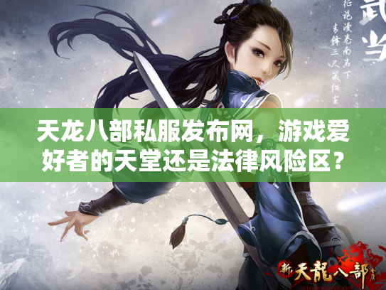 天龙八部私服发布网，游戏爱好者的天堂还是法律风险区？