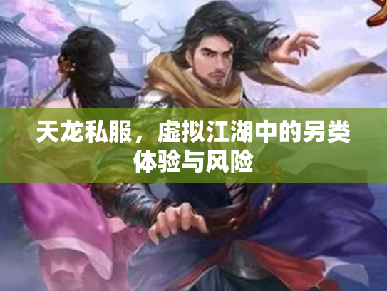 天龙私服，虚拟江湖中的另类体验与风险