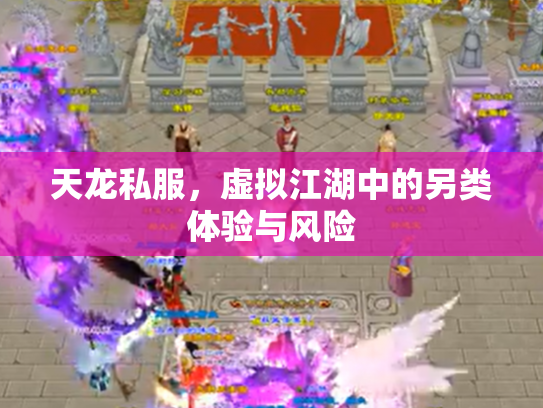 天龙私服，虚拟江湖中的另类体验与风险