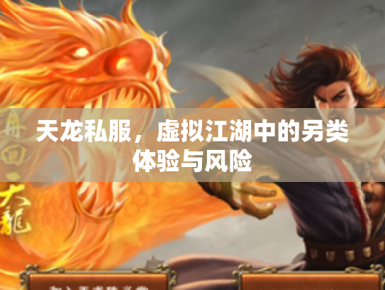 天龙私服，虚拟江湖中的另类体验与风险