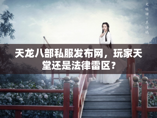天龙八部私服发布网，玩家天堂还是法律雷区？