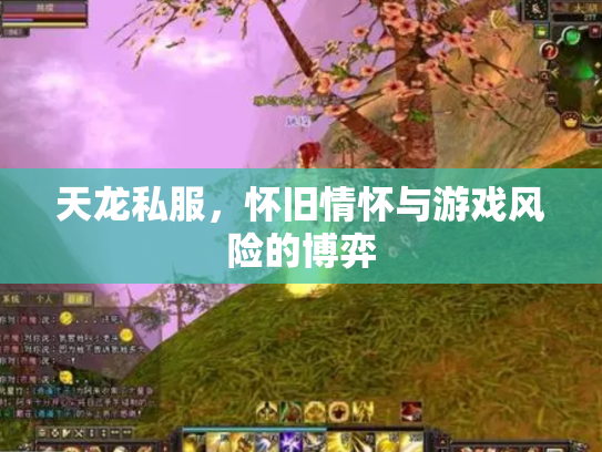 天龙私服，怀旧情怀与游戏风险的博弈