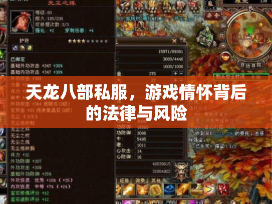 天龙八部私服，游戏情怀背后的法律与风险