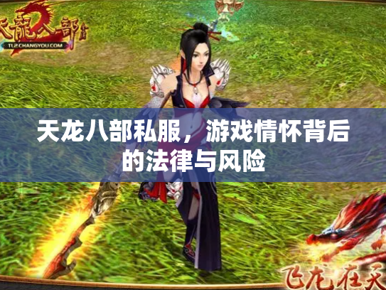 天龙八部私服，游戏情怀背后的法律与风险