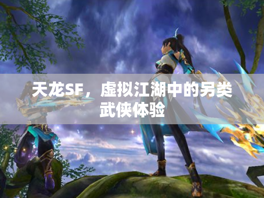 天龙SF，虚拟江湖中的另类武侠体验