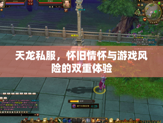 天龙私服，怀旧情怀与游戏风险的双重体验