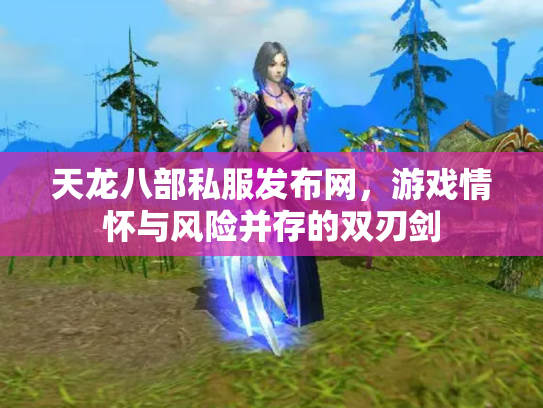 天龙八部私服发布网，游戏情怀与风险并存的双刃剑
