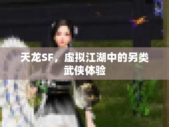 天龙SF，虚拟江湖中的另类武侠体验
