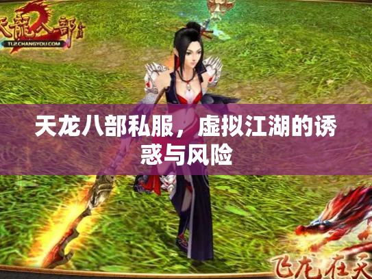 天龙八部私服，虚拟江湖的诱惑与风险