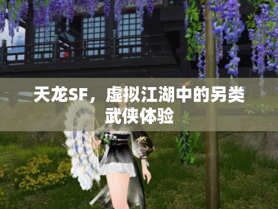天龙SF，虚拟江湖中的另类武侠体验