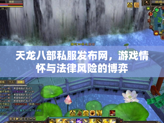 天龙八部私服发布网，游戏情怀与法律风险的博弈