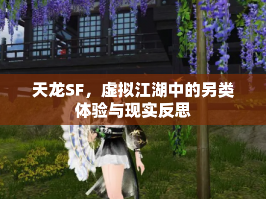天龙SF，虚拟江湖中的另类体验与现实反思