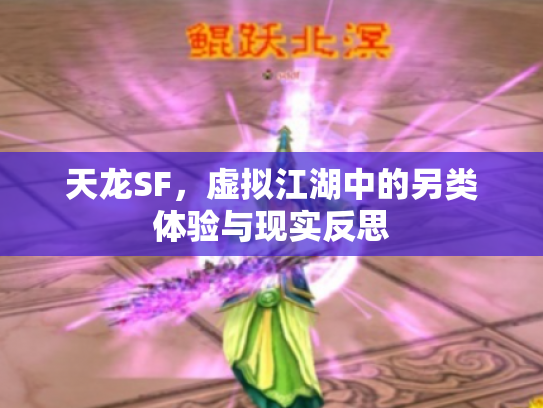 天龙SF，虚拟江湖中的另类体验与现实反思