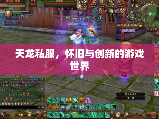 天龙私服，怀旧与创新的游戏世界