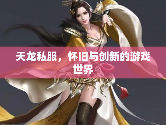 天龙私服，怀旧与创新的游戏世界