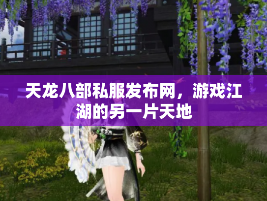 天龙八部私服发布网，游戏江湖的另一片天地