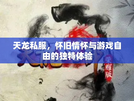 天龙私服，怀旧情怀与游戏自由的独特体验