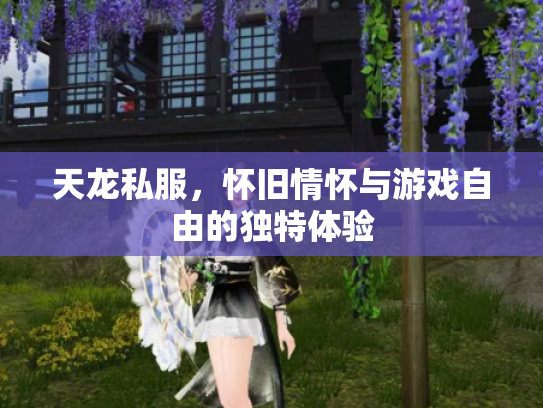 天龙私服，怀旧情怀与游戏自由的独特体验