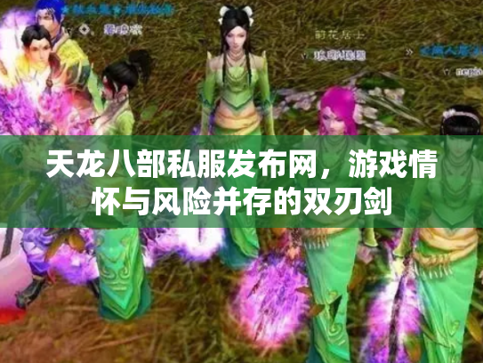 天龙八部私服发布网，游戏情怀与风险并存的双刃剑