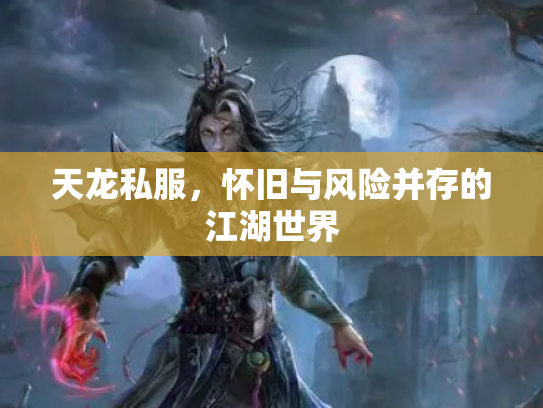 天龙私服，怀旧与风险并存的江湖世界