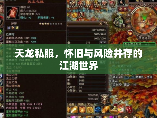 天龙私服，怀旧与风险并存的江湖世界
