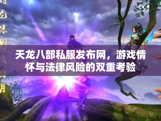 天龙八部私服发布网，游戏情怀与法律风险的双重考验