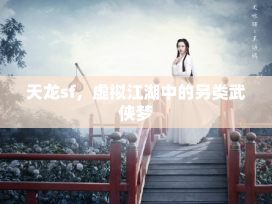 天龙sf，虚拟江湖中的另类武侠梦
